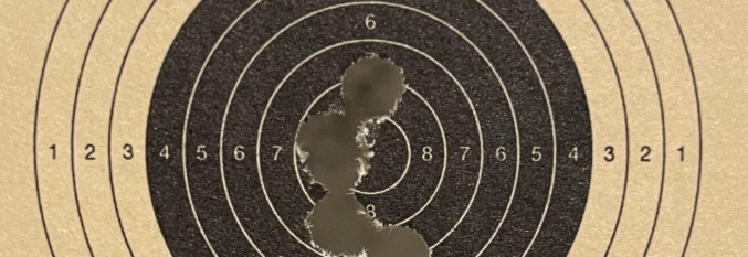 Trening NAIS Fin 22LR